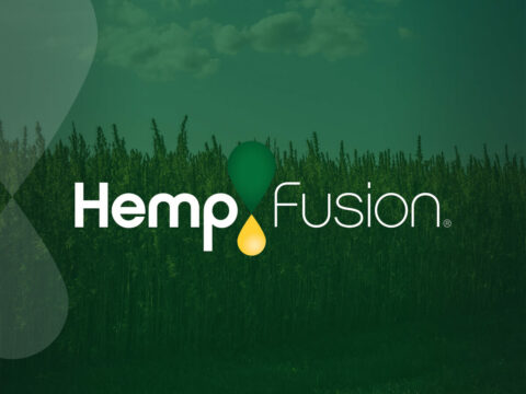 hempfusion acne relief reviews